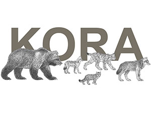 kora